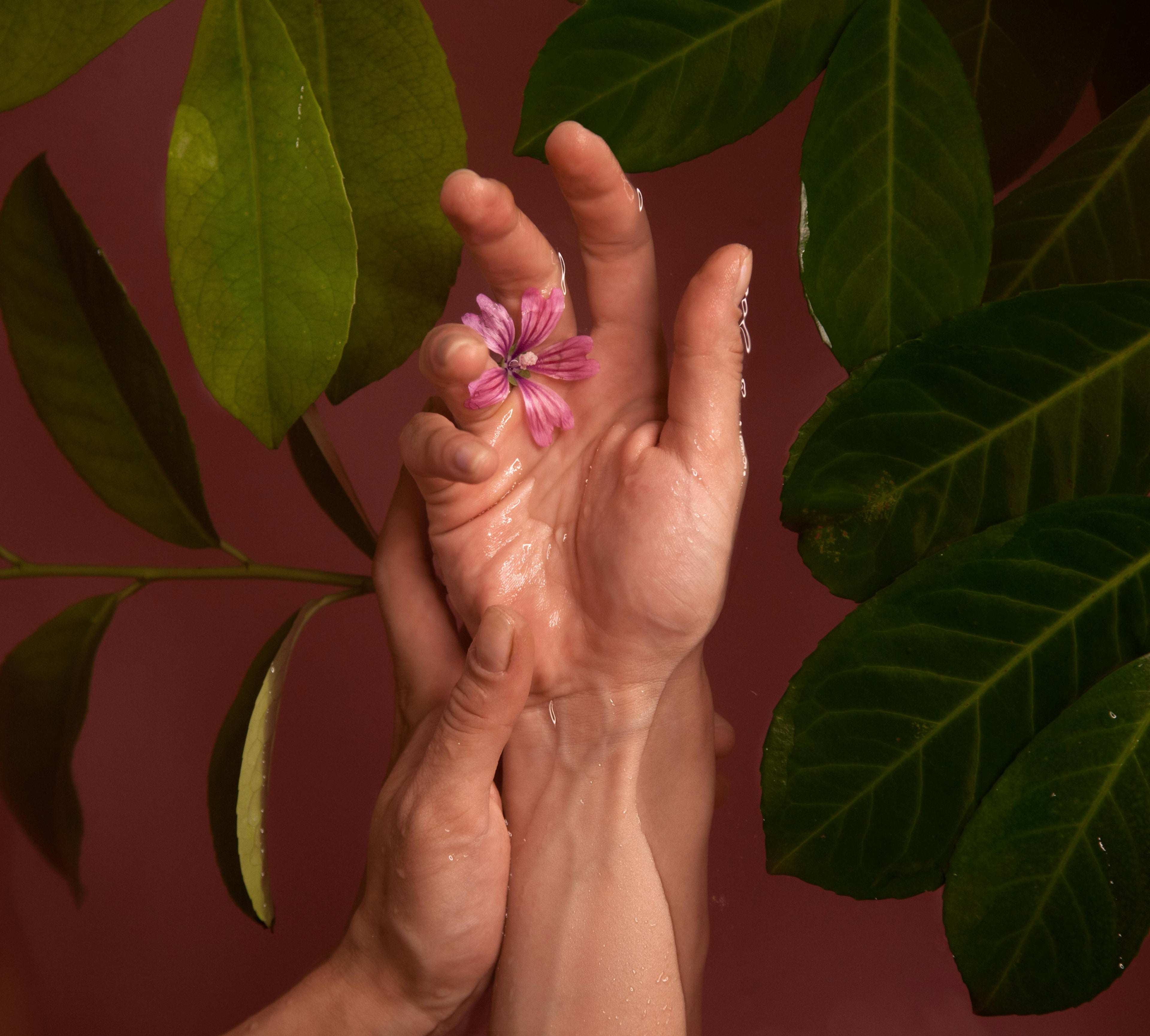 Les Fleurs : Alliées du Bien-Être Émotionnel et Physique pour une Saint-Valentin Inoubliable